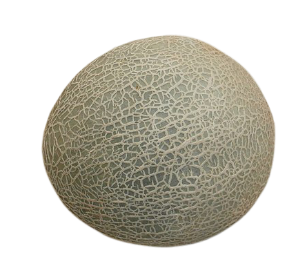 Cantaloupe, Cantaloupe png, Cantaloupe png image, Cantaloupe transparent png image, Cantaloupe png full hd images download